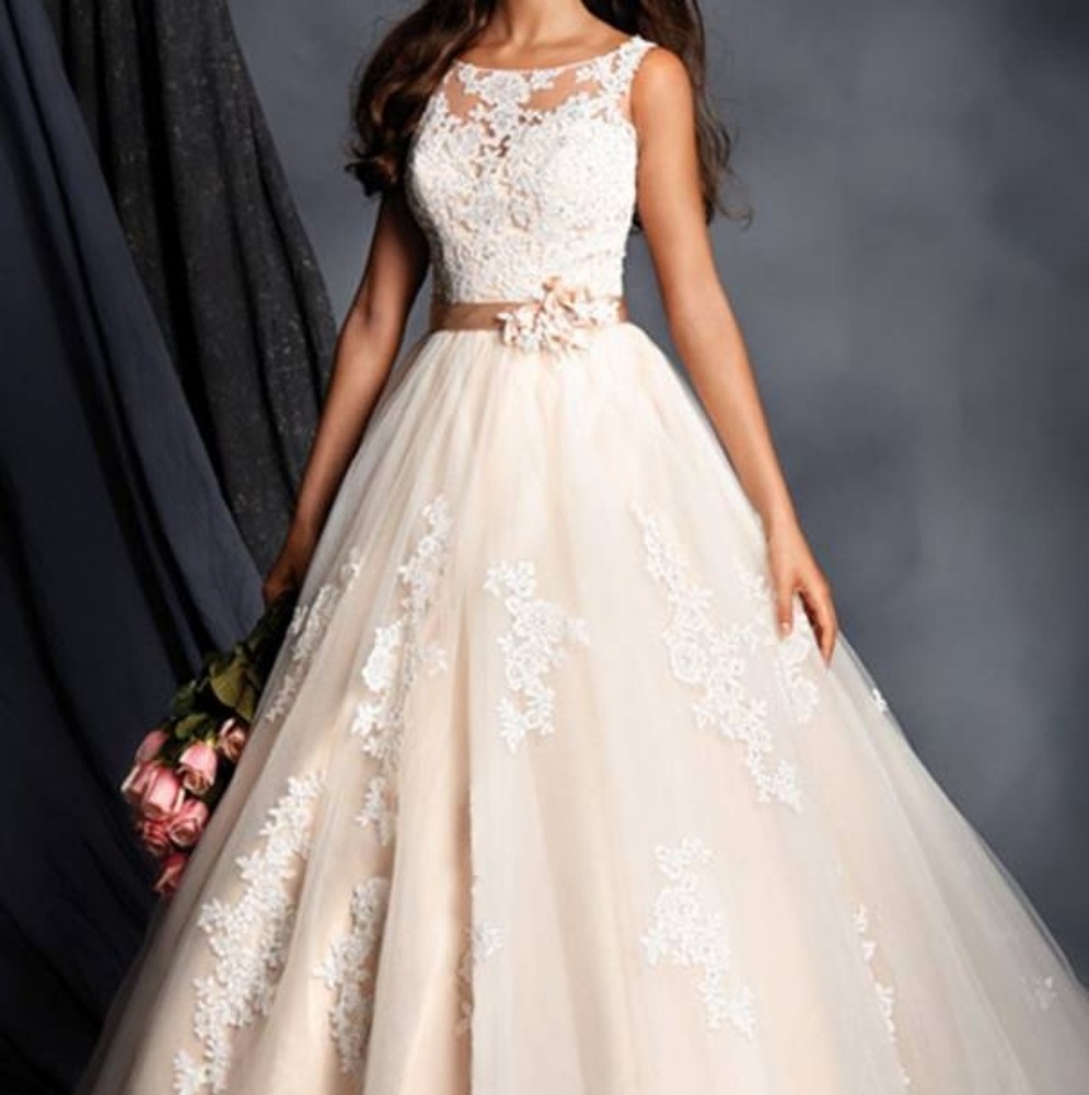 Alfred Angelo Plus Size Wedding Dress